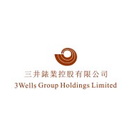 3 Wells Watch Industries Ltd. logo - Similar company to Professional Lacquer Kitchen Cabinets Manufacturer