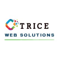 tricewebsolutions logo - Similar company to Fostio