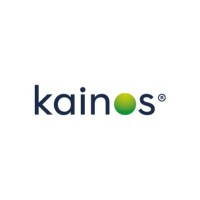 Kainos Argentina logo - Similar company to Brücke By Plexus