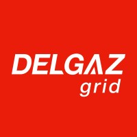 Delgaz Grid logo - Similar company to Mindthegap