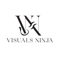 Visualsninja logo - Similar company to Alphabets Systems