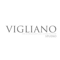 Vigliano Studio logo - Similar company to Gsv Grandi Spedizioni Veloci Srl
