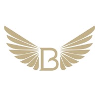 BIRDINI logo - Similar company to Lude Ture
