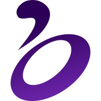 Berdata logo - Similar company to Arif Analytics