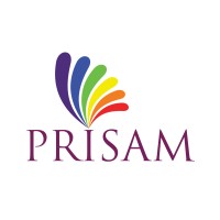 Prisam Infotech Pvt. Ltd logo - Similar company to Naavin