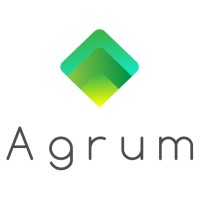 Agrum Visor logo - Similar company to Deepsea Developments