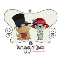 Waggin' Tails London Ltd. logo - Similar company to Nanosoft Financial Solutions