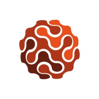 Projektbild Srl logo - Similar company to Kompaktmedien Agentur Für Kommunikation Gmbh