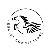 Pegasus Connections logo - Similar company to Special Operations Engineer Regiment Association