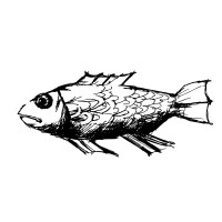 Sebastian's logo - Similar company to Mariendael