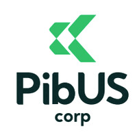 PIBUS CORP logo - Similar company to Launchpad Digital