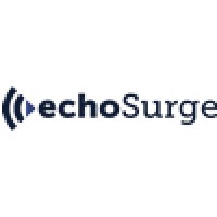 Echosurge Marketing logo - Similar company to Eforall Colorado