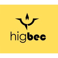 HIGBEC PVT LTD logo - Similar company to Vlogic Systems