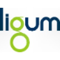 Ligum North America logo - Similar company to Ligum Pl