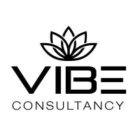 Vibe Consultancy logo - Similar company to Kentucky Eye Care