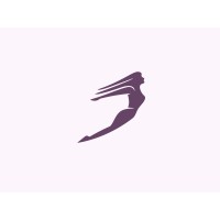 Bright Future Foundation logo - Similar company to Digixell