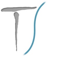 TS Engineering scarl logo - Similar company to Ica Engineering