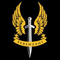 Sebenzani Security logo - Similar company to Easy Security Services & Guards