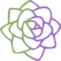 Pulmonary Health Coaching logo - Similar company to Coach Michelle