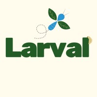 Larval logo - Similar company to Solution Hack