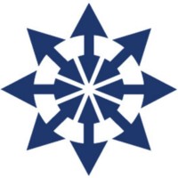 Human Synergistics