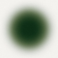 Neurgasm logo - Similar company to Consalta