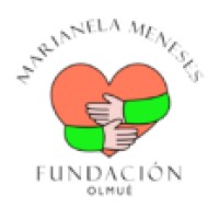Fundación Marianela Meneses logo - Similar company to Megaelectric Chile