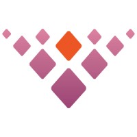Visulon Inc. logo - Similar company to Seagull-Series: Vasudha It Solutions Pvt. Ltd.