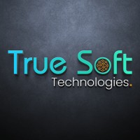 TRUE SOFT TECHNOLOGIES logo - Similar company to World It Zone - Reputed Web Development Agency India