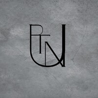 Puntel PR logo - Similar company to Kion Newschannel 5