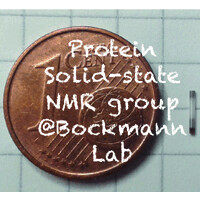 Protein solid-state NMR group - MMSB Lyon logo - Similar company to Arc Centre For Fragment-Based Design