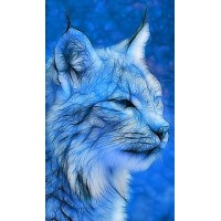 Blue Lince logo - Similar company to Ripples At Eight