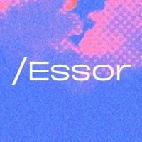 Essor logo - Similar company to Elevate Brands (Acquired By Sellerx Group)