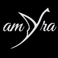 Amyra Diamonds logo - Similar company to Bolt Education