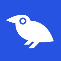 BlueBirdMedia logo - Similar company to Die Jongens