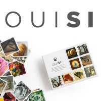 OuiSi logo - Similar company to Facilitators Connect