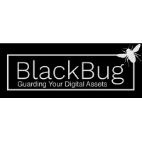 BlackBug | Cyber Security Consultancy logo - Similar company to Blackbugs Technologies