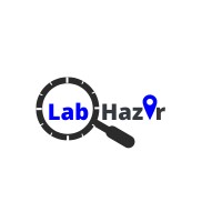 LabHazir logo - Similar company to Cloud Value Tree