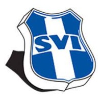 vv SVI logo - Similar company to V.V. Svi