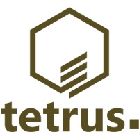 Tetrus Madeira logo - Similar company to Cromossomo 21