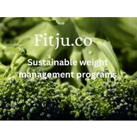 Fitju.co logo - Similar company to Pts Technologies Inc.