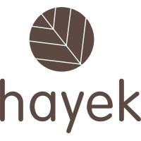 Hayek Maldives Pvt Ltd logo - Similar company to Imc Pvt Ltd Maldives