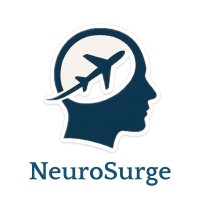 NeuroSurge Global logo - Similar company to Mad Science Maroc