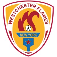 Westchester Flames logo - Similar company to New Logical