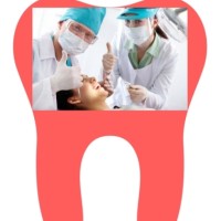 Formation Dentaire Algérie logo - Similar company to Dentalformation