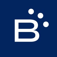 Borealux logo - Similar company to Soluxium Technologies Inc.