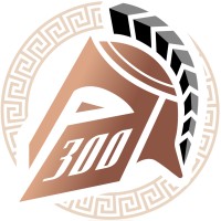 Project 300 Llc