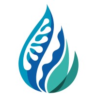 Convex Seascape Survey logo - Similar company to Plus 9 Insight