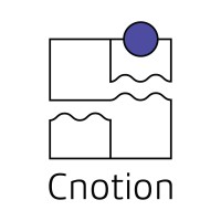 Cnotion Windows logo - Similar company to Brandthinktank Group