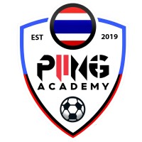 Piing Academy logo - Similar company to Pfa Bangkok
